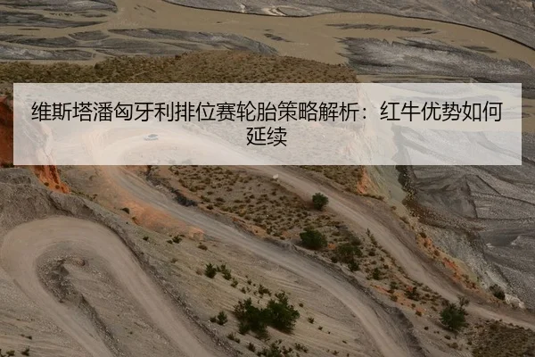 维斯塔潘匈牙利排位赛轮胎策略解析：红牛优势如何延续