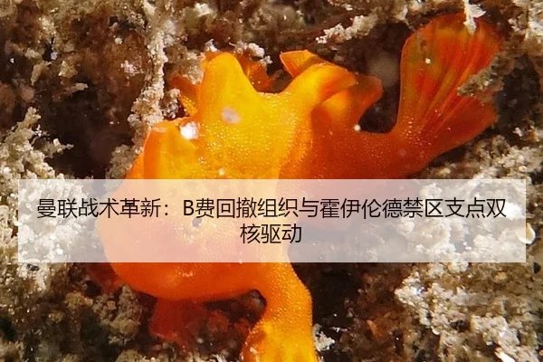 man-lian-zhan-shu-ge-xin-fei-hui-che-zu-zhi-yu-huo-yi-lun-de-jin-qu-zhi-dian-shuang-he-qu-dong-3-285.jpg